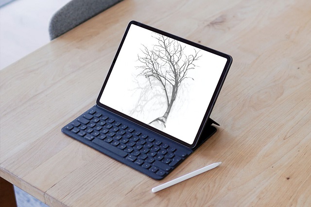 ipad pro tela digitalizadora sem fio e Autônomo